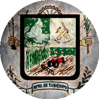 Logo Tamasopo Futbol Club